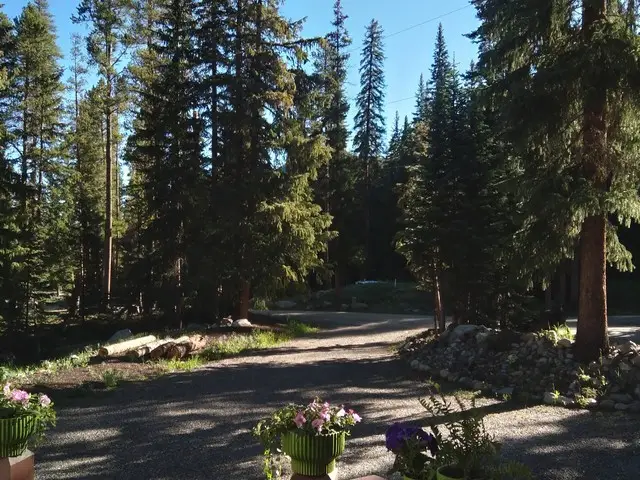 464 Wilderness Drive, Breckenridge, CO 80424 - #2