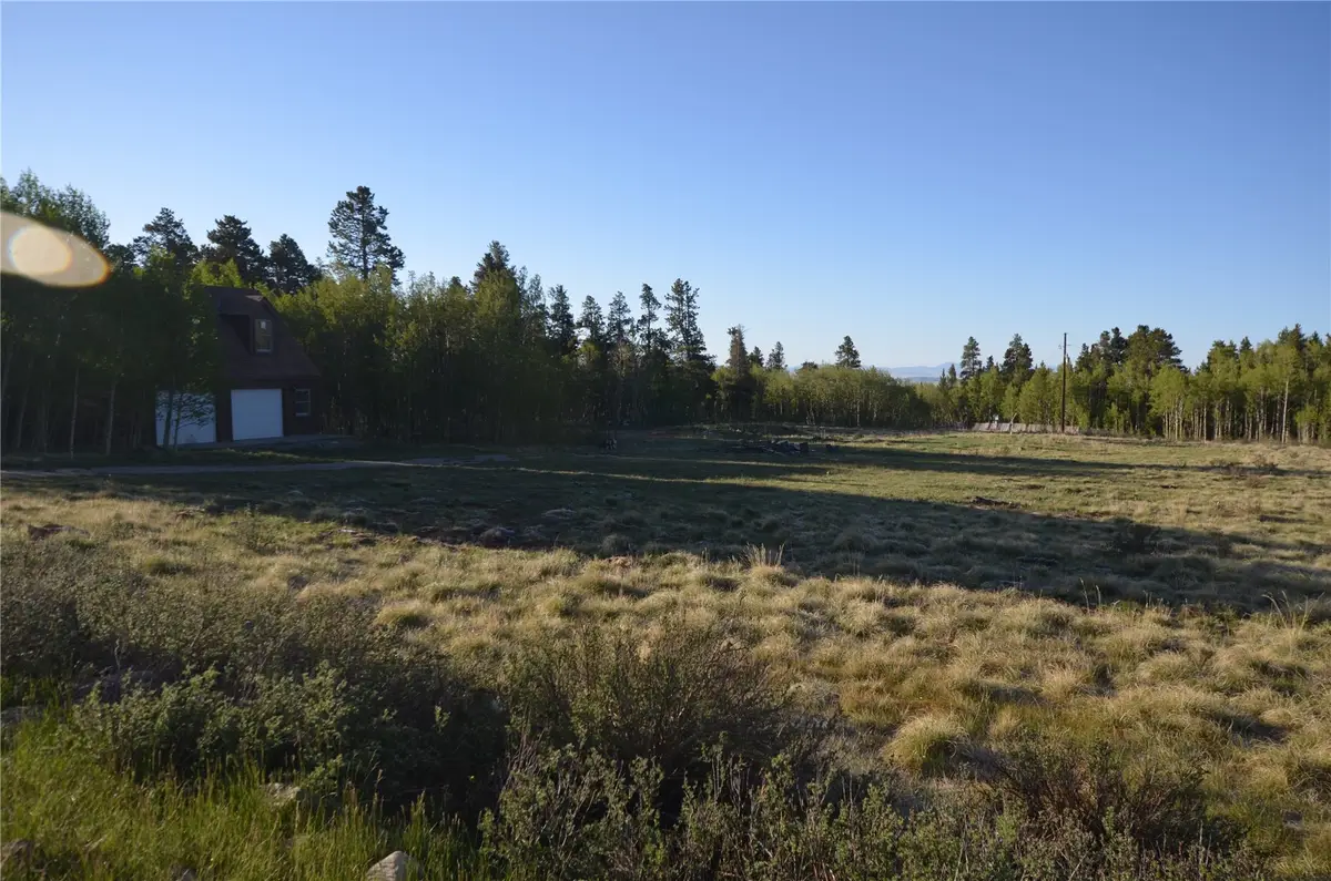 484 Wheat Way, Fairplay, CO 80440 - #1