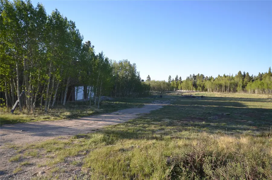 484 Wheat Way, Fairplay, CO 80440 - #2