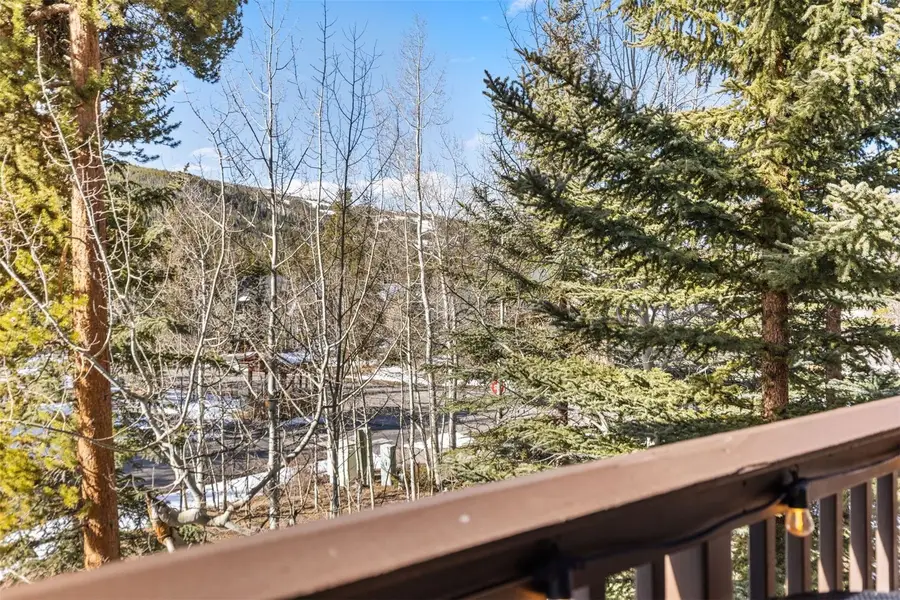 45 Trappers Crossing Trail #8754, Keystone, CO 80435 - #3