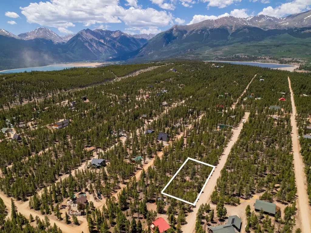 294 Peak View Drive, Twin Lakes, CO 80461 - #1