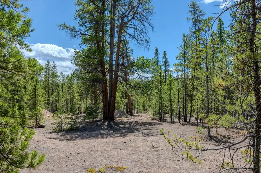 294 Peak View Drive, Twin Lakes, CO 80461 - #3