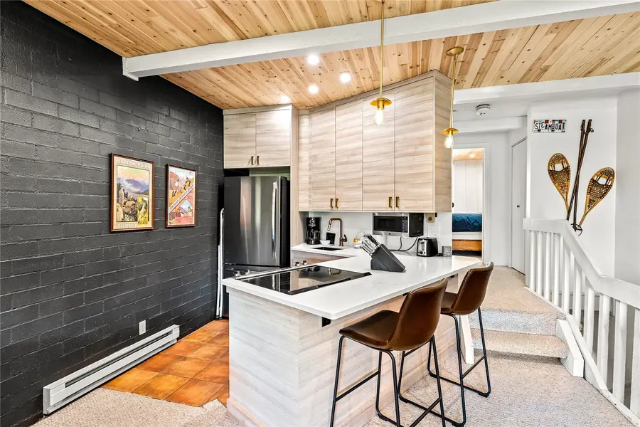 1920 Ski Time Square Drive #310, Steamboat Springs, CO 80487 - #3