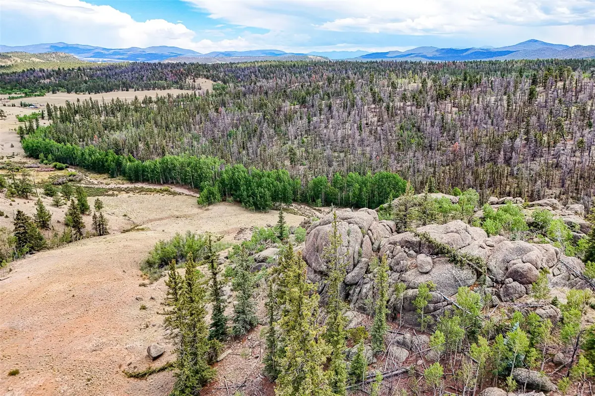 1111 Latigo Loop, Lake George, CO 80820 - #1