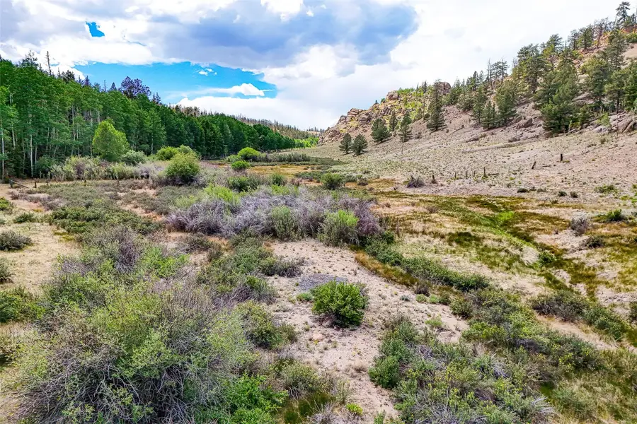 1111 Latigo Loop, Lake George, CO 80820 - #2