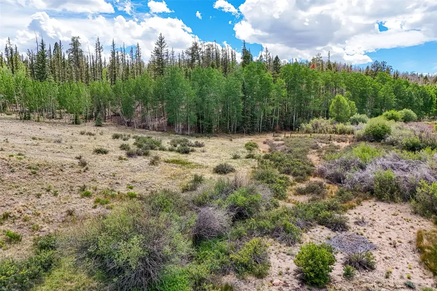 1111 Latigo Loop, Lake George, CO 80820 - #3