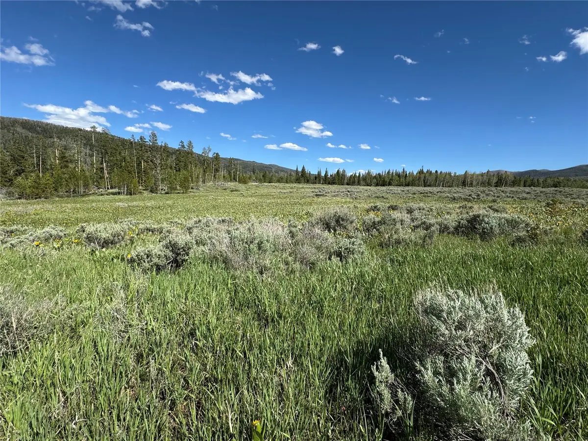 TBD Whiffle Tree Trail, Oak Creek, CO 80467 - #1