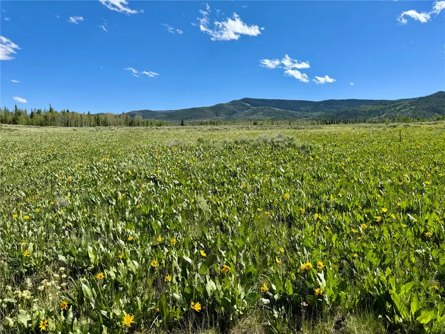 TBD Whiffle Tree Trail, Oak Creek, CO 80467 - #2