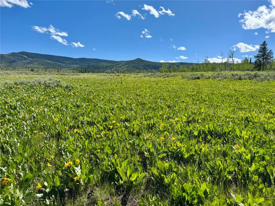 TBD Whiffle Tree Trail, Oak Creek, CO 80467 - #3