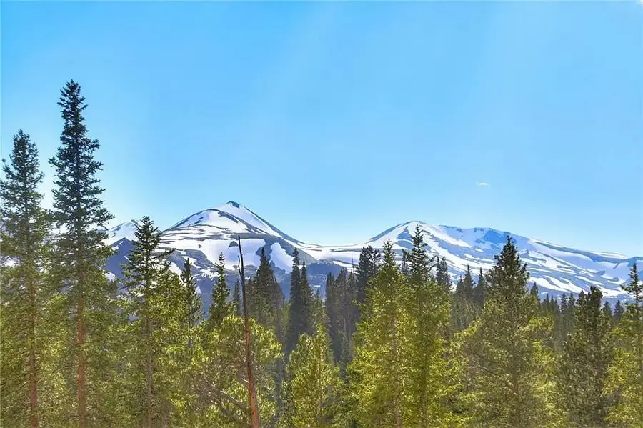 103 Co 529 Road, Breckenridge, CO 80424 - #3