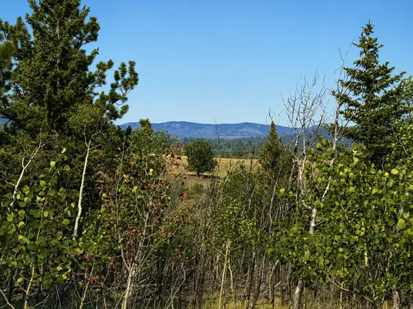 250 Pinto Trail, Como, CO 80432