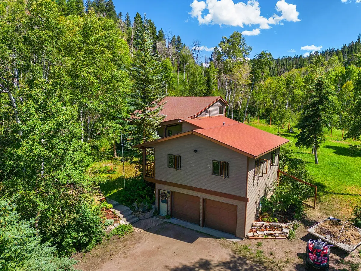 22610 Snowbird Trail, Oak Creek, CO 80467 - #1