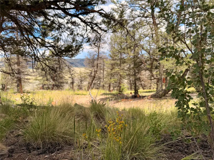1348 Middle Fork Vista, Fairplay, CO 80440 - #2