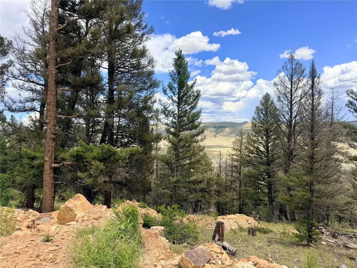 1396 Middle Fork Vista, Fairplay, CO 80440 - #1