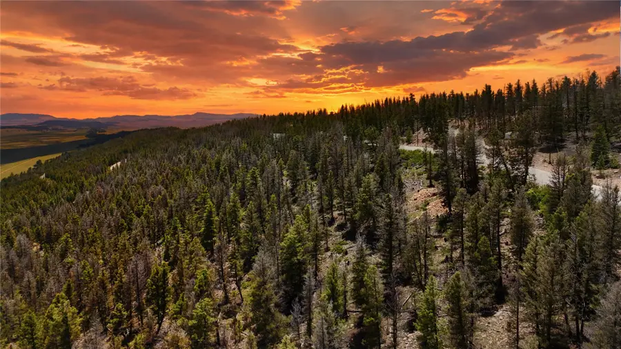 1396 Middle Fork Vista, Fairplay, CO 80440 - #2