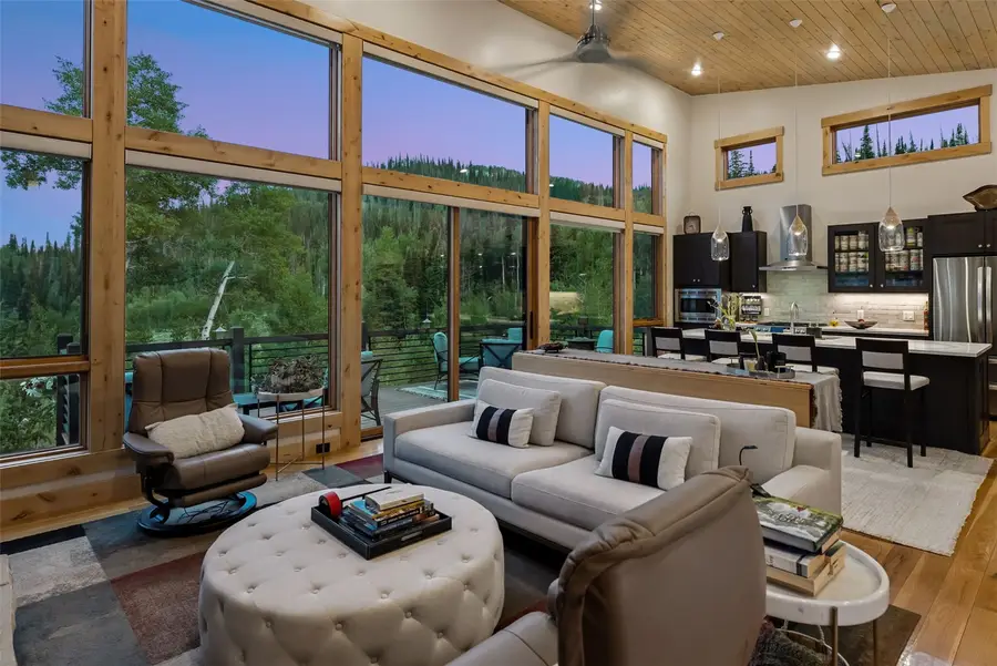 147 Maryland Creek Road, Silverthorne, CO 80498 - #3