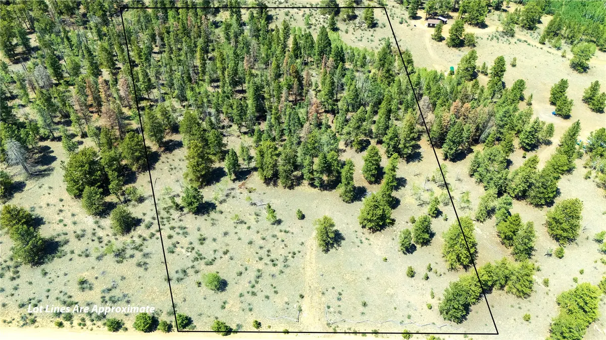 1036 Pulver Road, Lake George, CO 80827 - #1