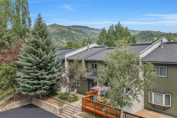 5 Hemlock Court #5, Steamboat Springs, CO 80487