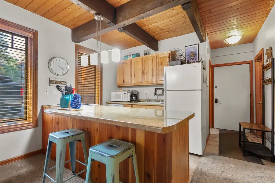 800 Columbine Road #3, Breckenridge, CO 80424 - #3