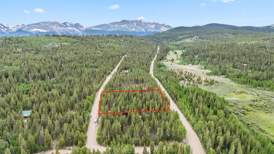 64 Ski Doo Lane, Fairplay, CO 80440 - #3