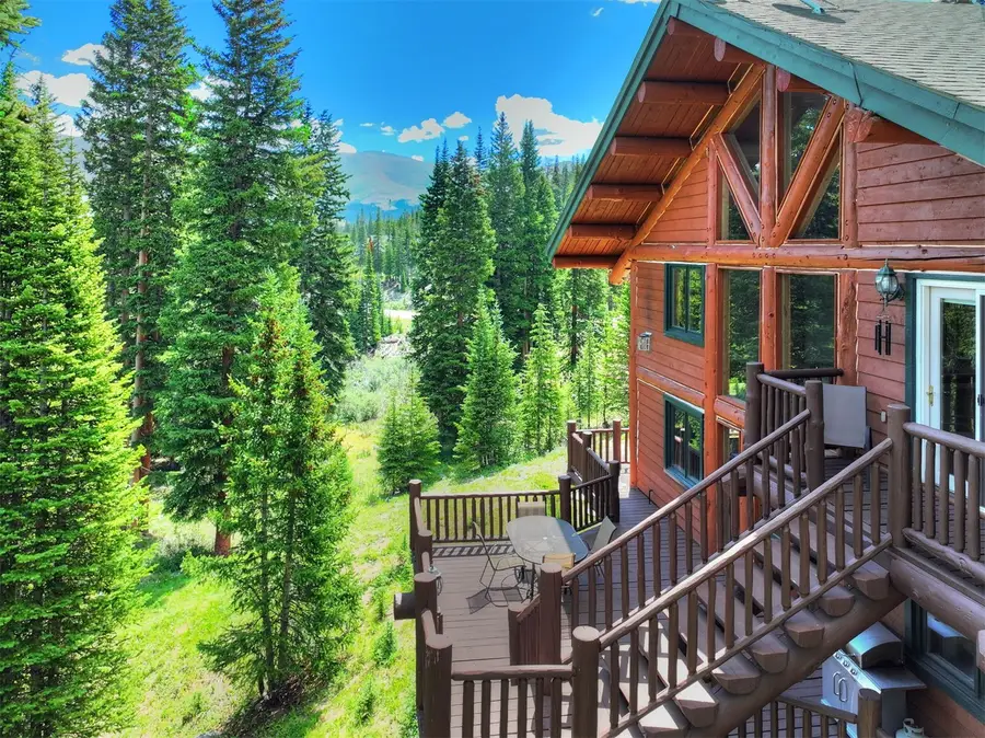 496 Hamilton Lane, Breckenridge, CO 80424 - #2