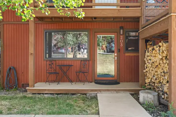 23800 County Road 16 #203, Oak Creek, CO 80467