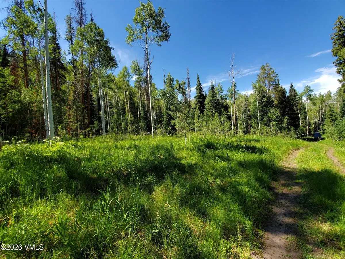 20381 King Bolt Trail, Oak Creek, CO 80467 - #1