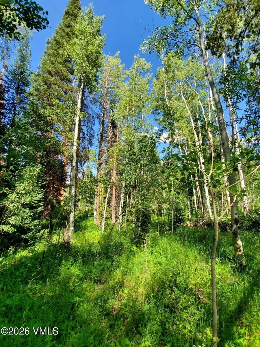20381 King Bolt Trail, Oak Creek, CO 80467 - #2
