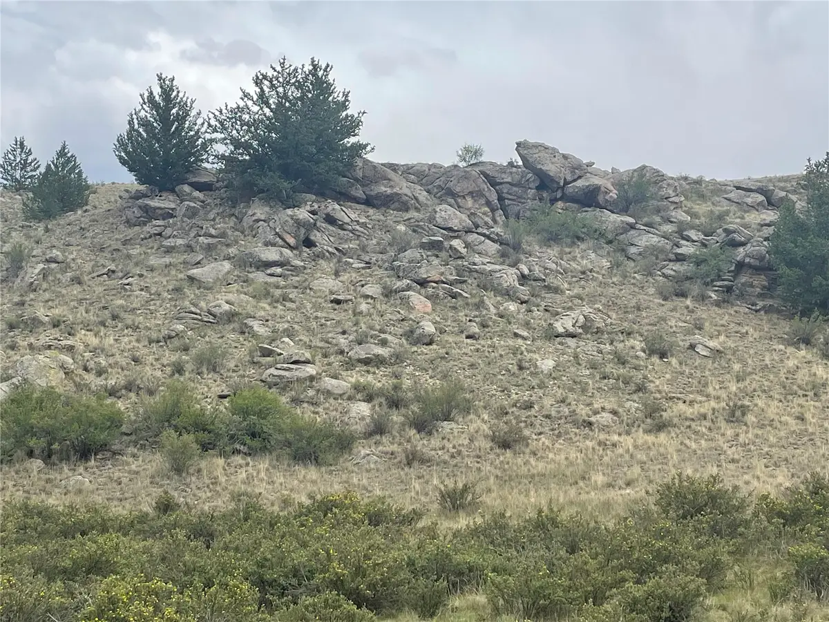 924 Mustang Road, Jefferson, CO 80456 - #1