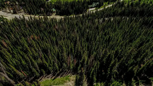 434 Carroll Lane, Breckenridge, CO 80424