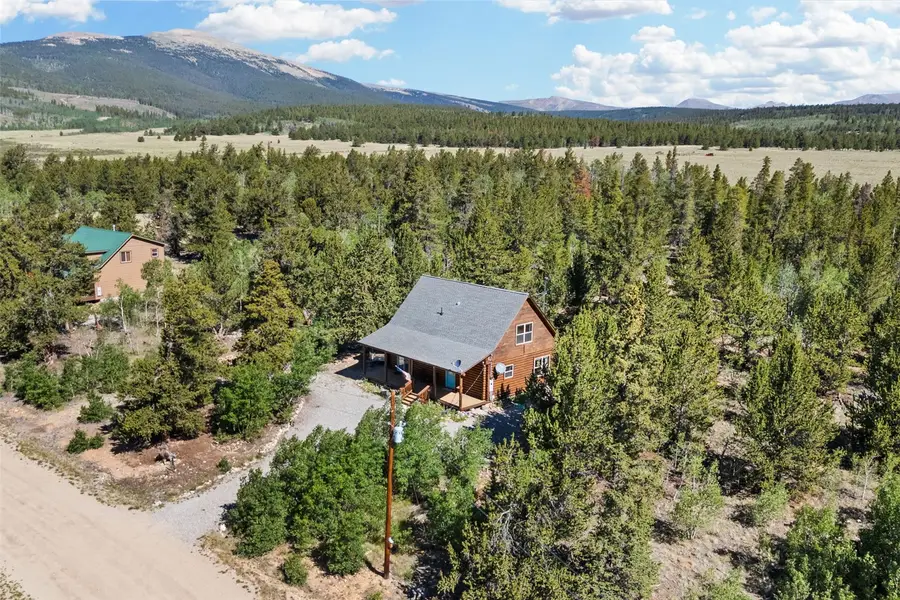 167 Stellar Jay Way, Fairplay, CO 80440 - #3