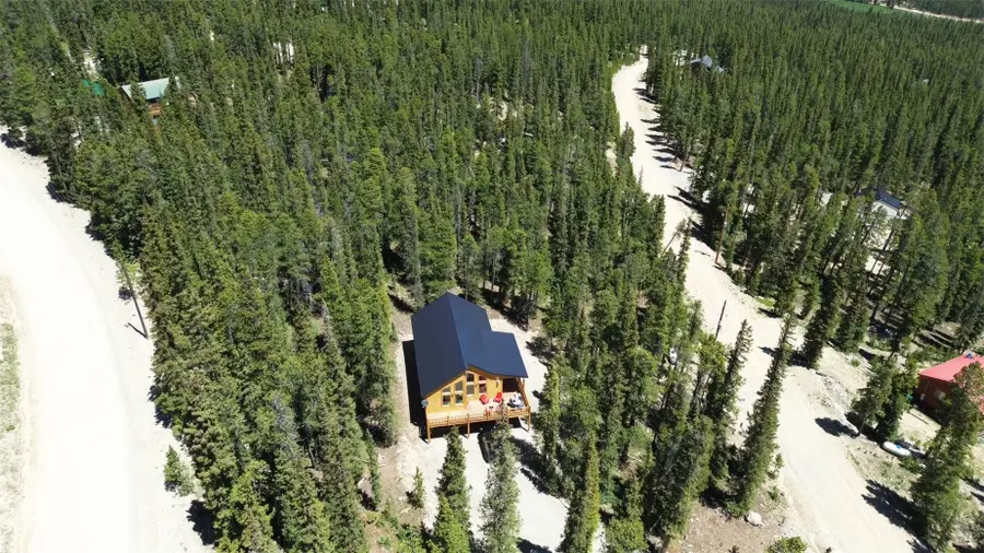 572 Gold Trail Circle, Fairplay, CO 80440 - #3