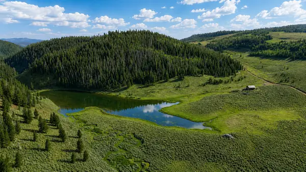 TBD County Road 225, Toponas, CO 80479
