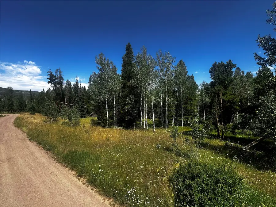 33255 Filly Trail, Oak Creek, CO 80467 - #2