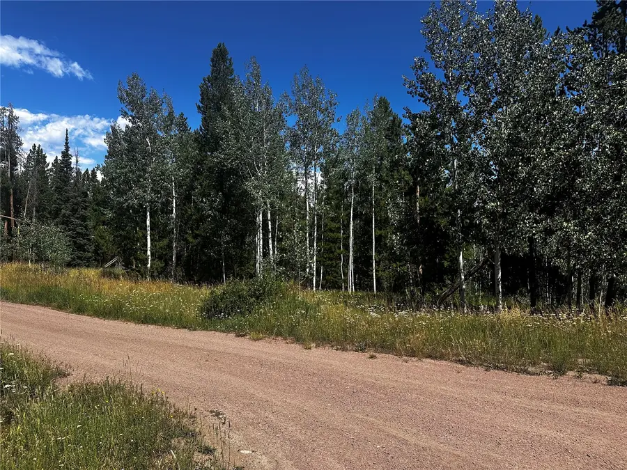 33255 Filly Trail, Oak Creek, CO 80467 - #3