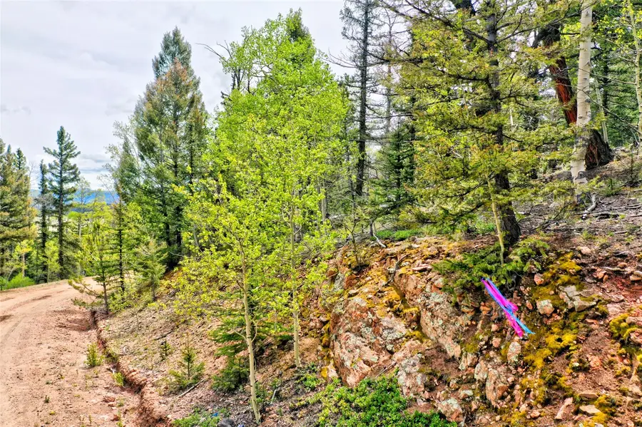 28 Old Squaw Road, Como, CO 80432 - #2