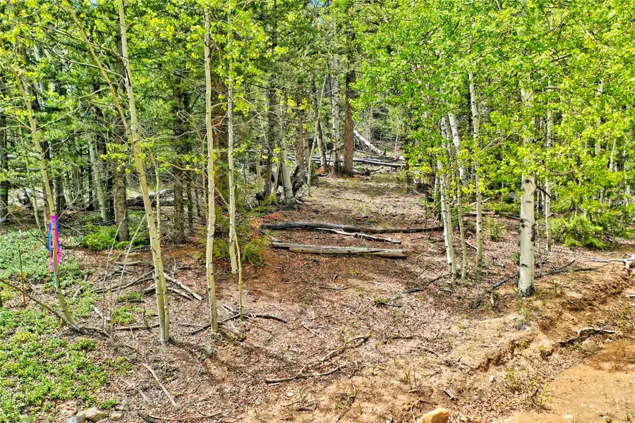 28 Old Squaw Road, Como, CO 80432 - #3