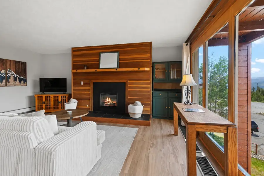 91300 Ryan Gulch Road #314, Silverthorne, CO 80498 - #2