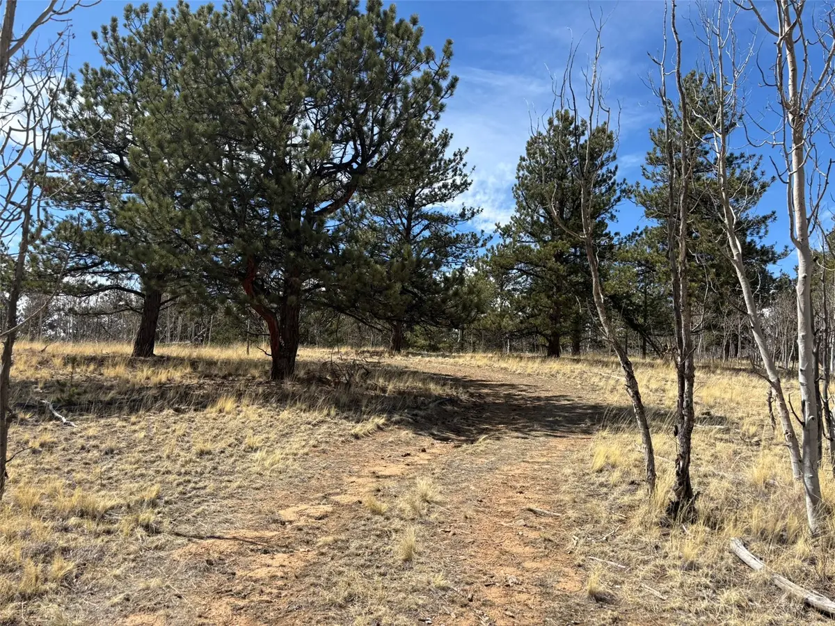 147 Bordenville Road, Jefferson, CO 80456 - #1