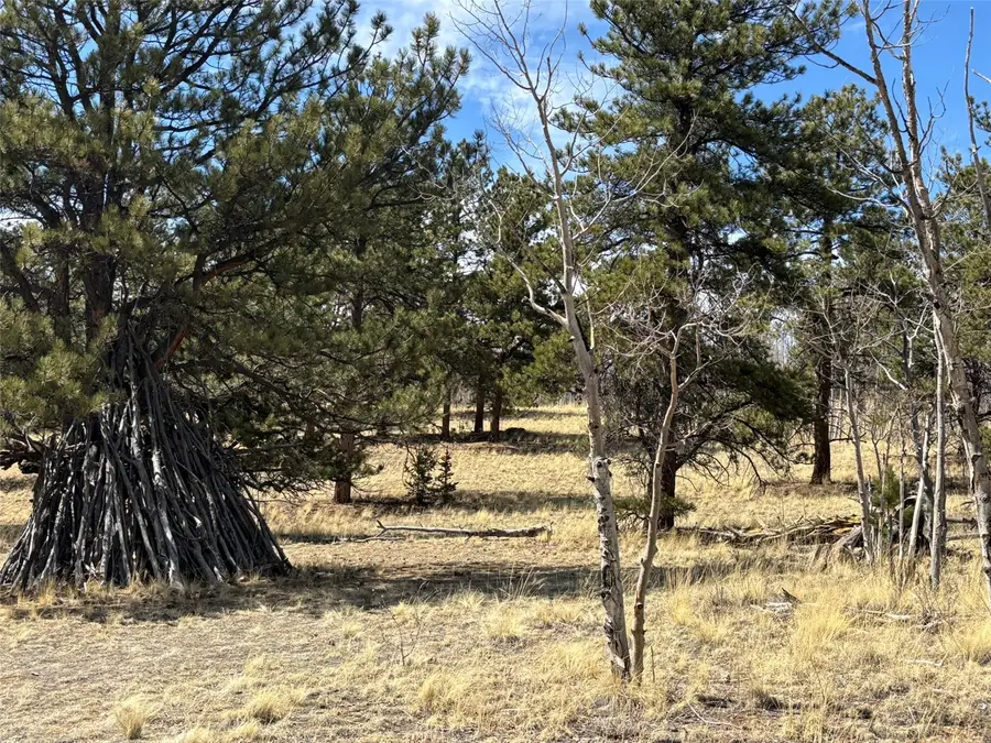 147 Bordenville Road, Jefferson, CO 80456 - #3