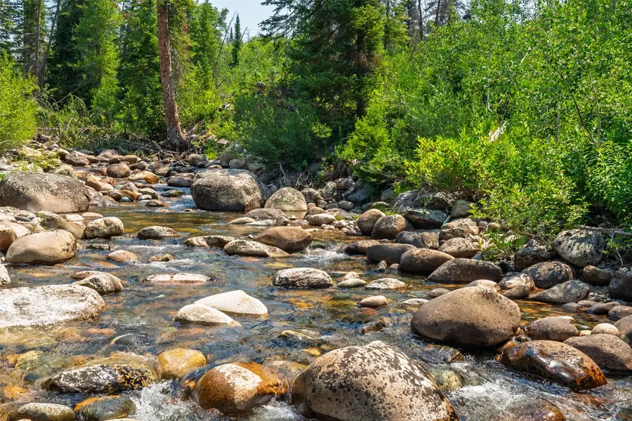 32065 Pebble Run, Steamboat Springs, CO 80487 - #3