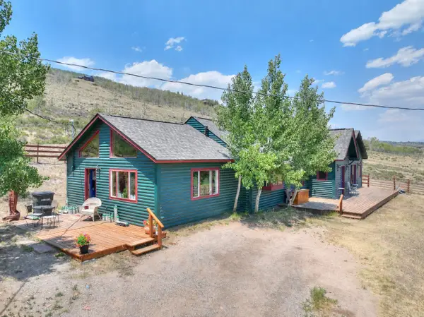 3960 County Road 5, Fairplay, CO 80440