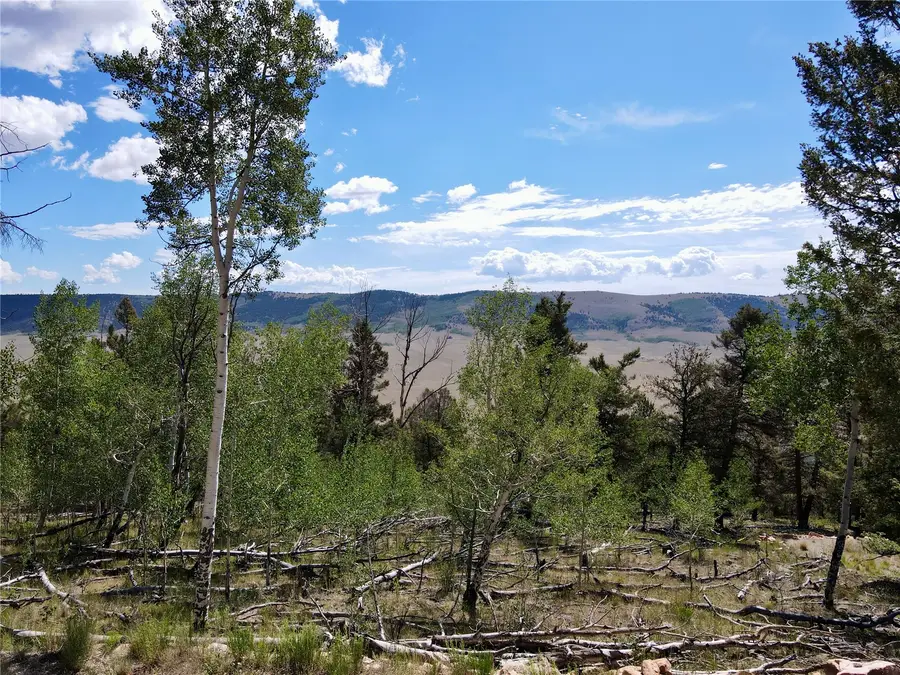 5410 Middle Fork, Fairplay, CO 80440 - #2