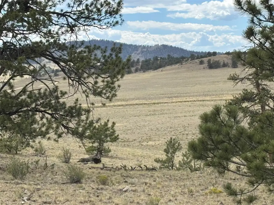 99 Arapaho Court, Hartsel, CO 80449 - #2