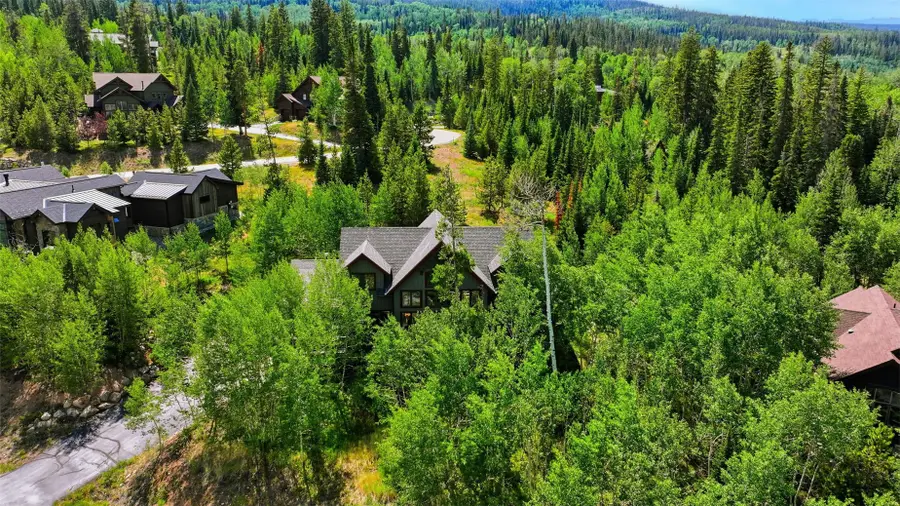 115 Arnica Lane, Silverthorne, CO 80498 - #3