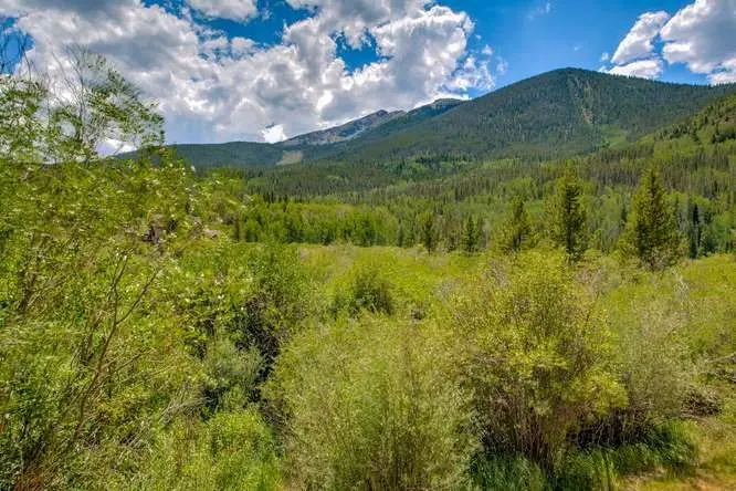855 S 5th Avenue #176, Frisco, CO 80443 - #1