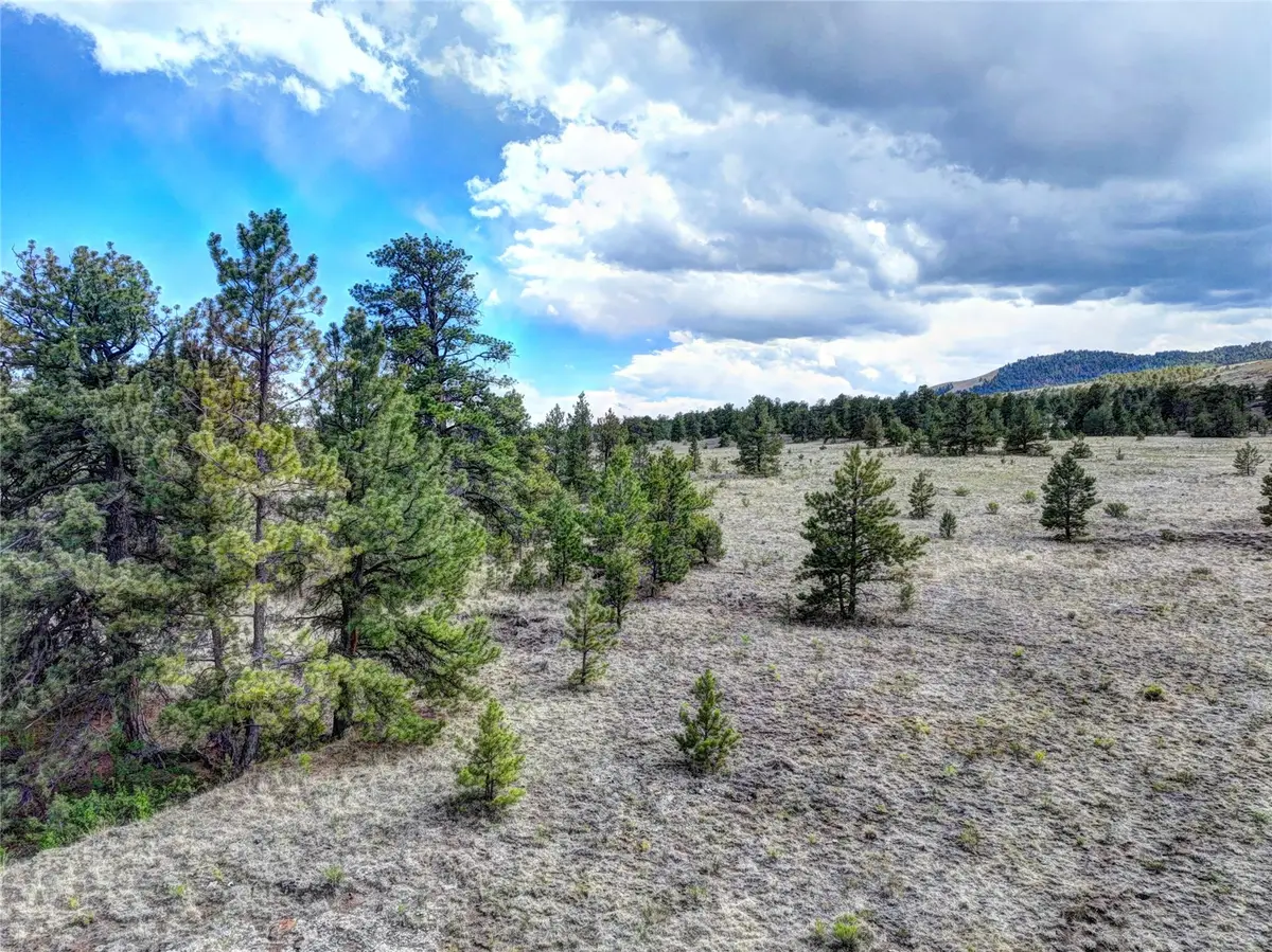10050 County Rd 102, Guffey, CO 80820 - #1