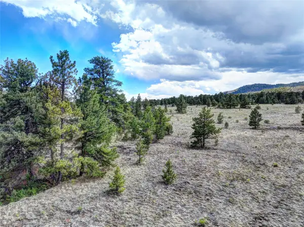 10050 County Rd 102, Guffey, CO 80820