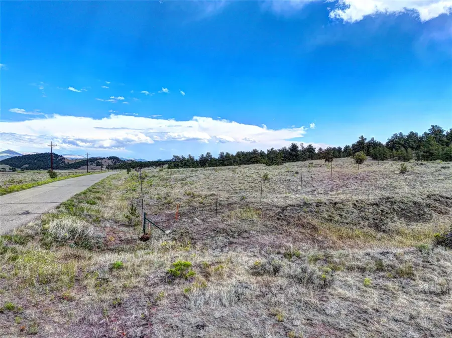 10050 County Rd 102, Guffey, CO 80820 - #2