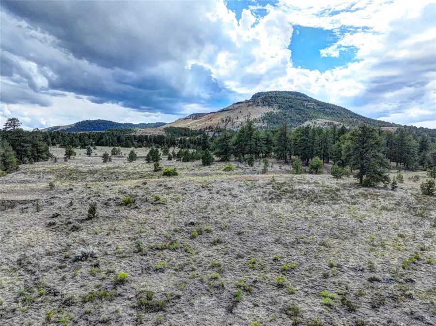 10050 County Rd 102, Guffey, CO 80820 - #3